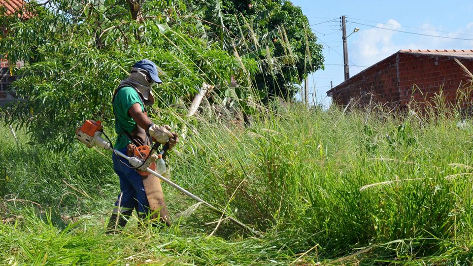 A partir da notificação, proprietários têm 20 dias para realizar roçadas e demais intervenções | Foto: Assessoria de Imprensa/Prefeitura 