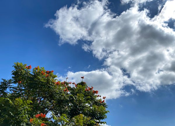 Sol predomina na região, mas madrugadas serão frias