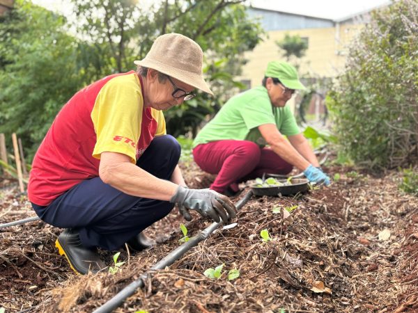Organizações preservam cultura associativista em Teutônia