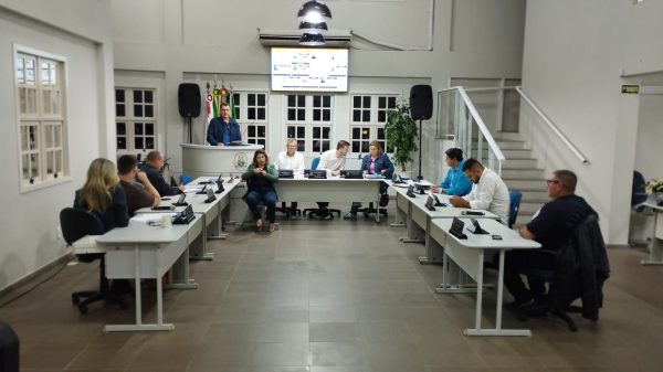 Vereadores votam contratação de orientador educacional