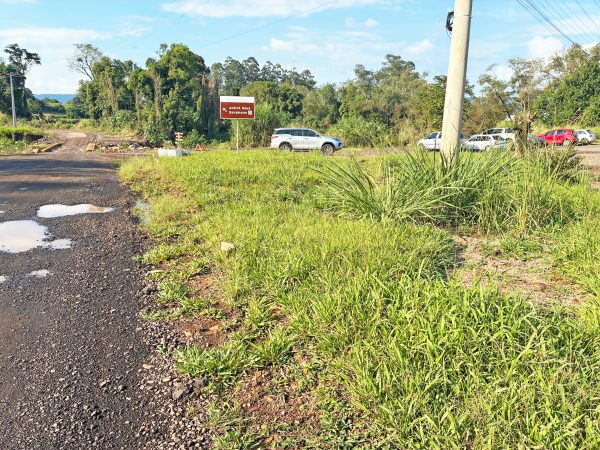 Trevo em Pontes Filho necessita de roçada