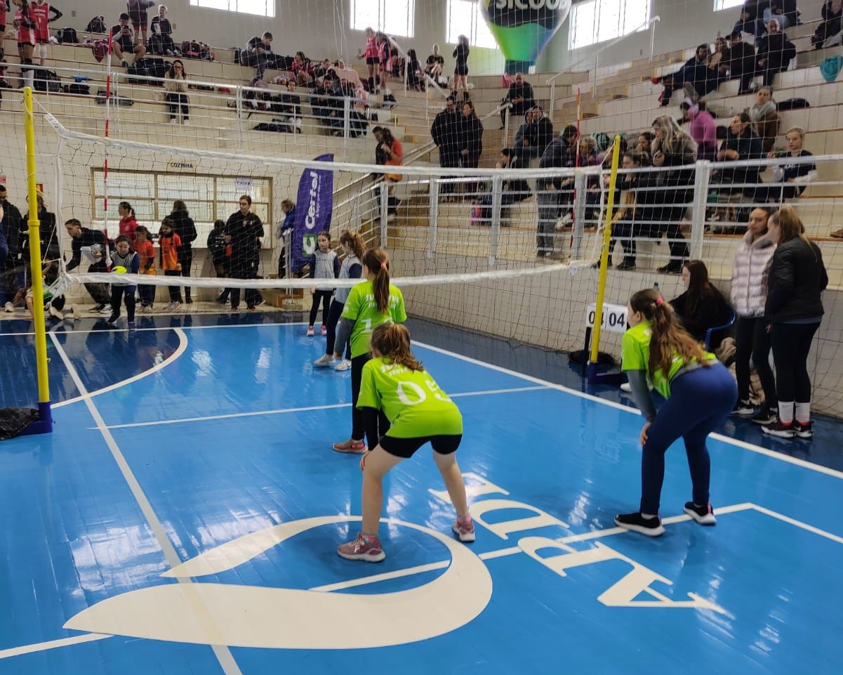 Serão 149 equipes e 295 jogos ao longo do dia, em nove quadras simultâneas da APDL. Foto: DIVULGAÇÃO