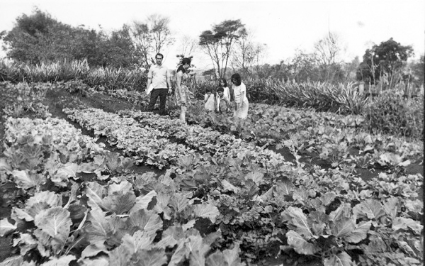 Emater/RS completa 70 anos com foco no protagonismo rural