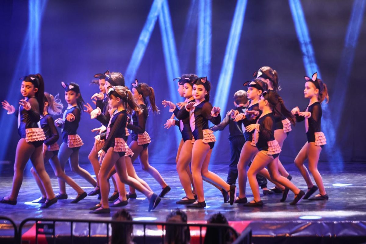 10º dança Bom Retiro ocorreu entre os dias 28 de maio e 1º de junho | Foto: divulgação