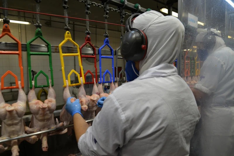Exames descartam caso suspeito que envolvia Teutônia e Westfália