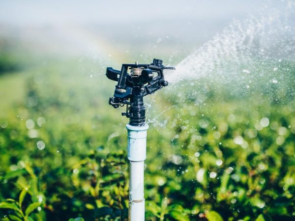 Seminário destaca incentivos à irrigação