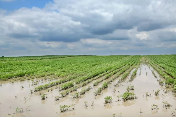 Banrisul anuncia suspensão da negativação de produtores rurais por 90 dias