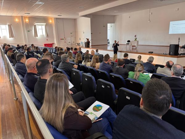 Amsol debate previdência dos servidores públicos
