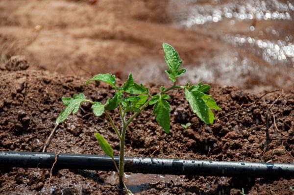Últimos dias para produtores rurais se inscreverem em programa de irrigação
