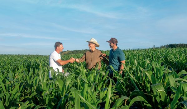 Sicredi destina R$ 68 bilhões ao crédito rural em todo o país