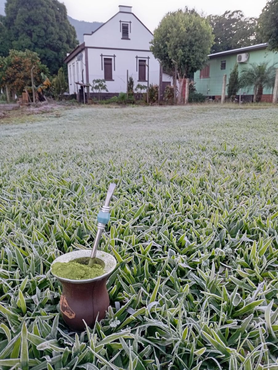 Região registra geada severa e temperaturas negativas nesta quarta-feira