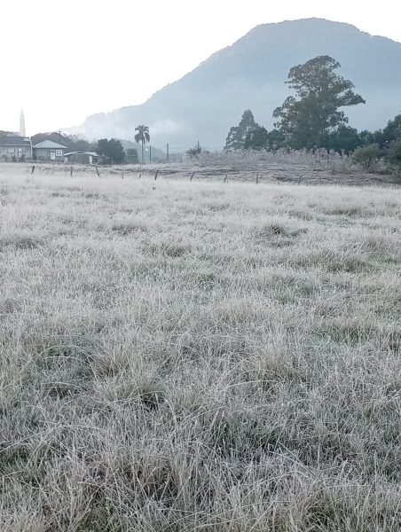 Região registra geada severa e temperaturas negativas nesta quarta-feira