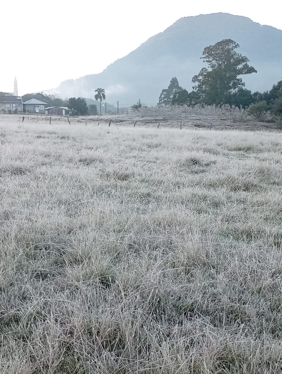Em Poço das Antas, mínima foi de -1,2°C | Foto: Tarcísio Herbert