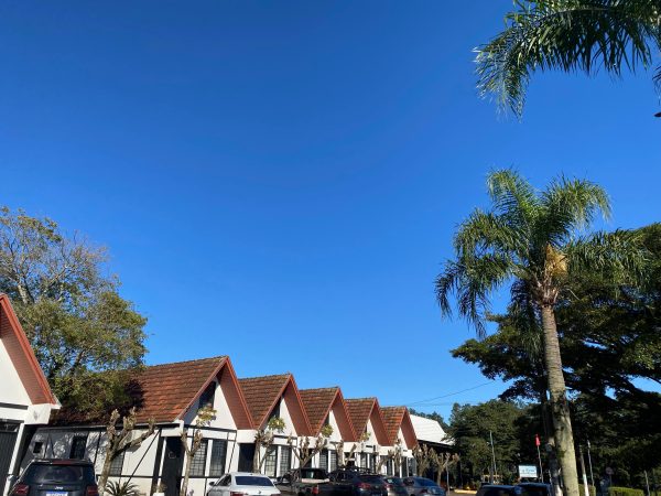 Semana começa com sol e chuva retorna a partir de quinta-feira
