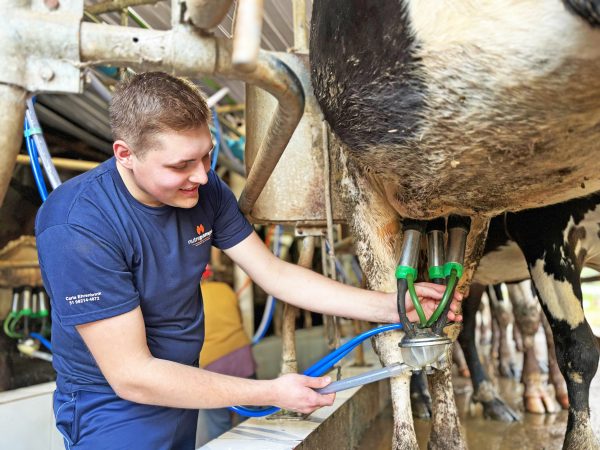 “Qual a importância do agricultor e do motorista para a economia regional?”