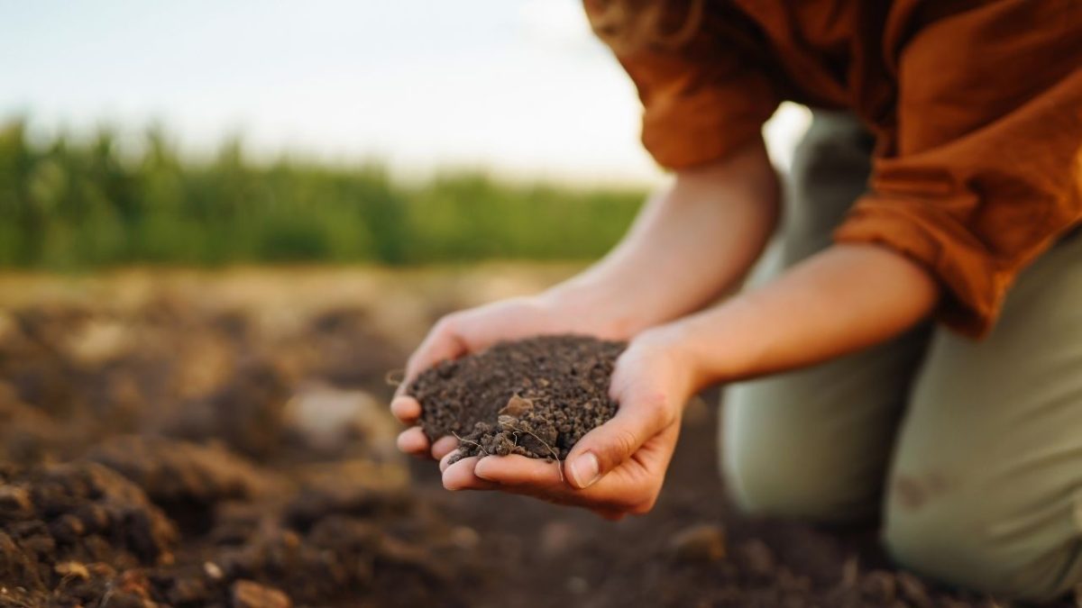 Programa para a agricultura familiar terá reunião em Poço das Antas