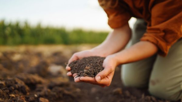 Programa para a agricultura familiar terá reunião em Poço das Antas