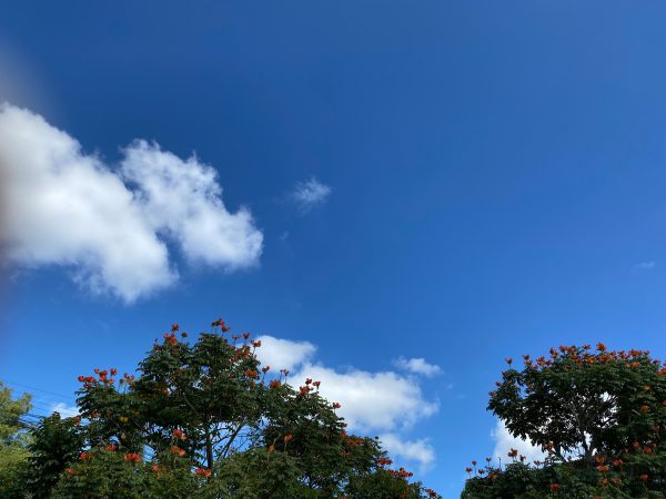 Semana começa com tempo firme e temperaturas amenas