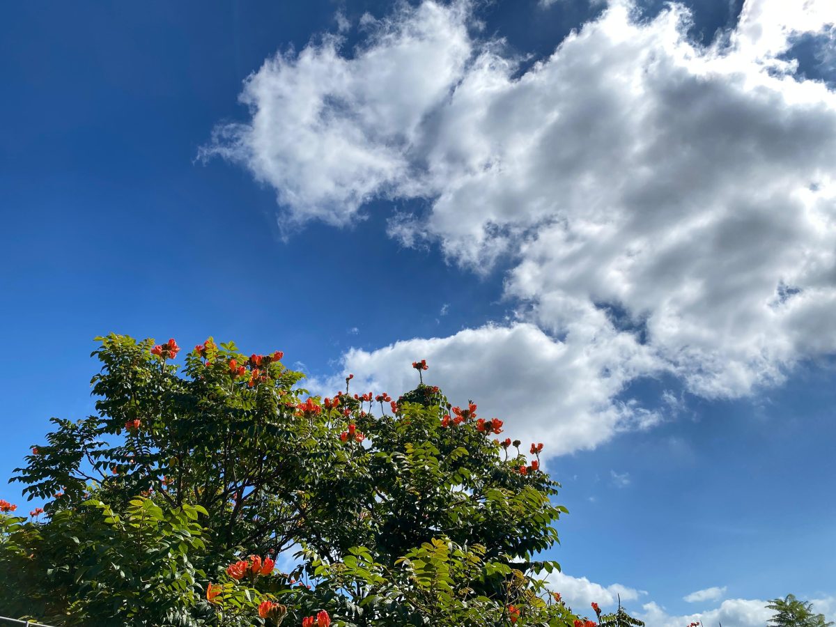 Sol predomina e tardes seguem agradáveis na região neste fim de semana