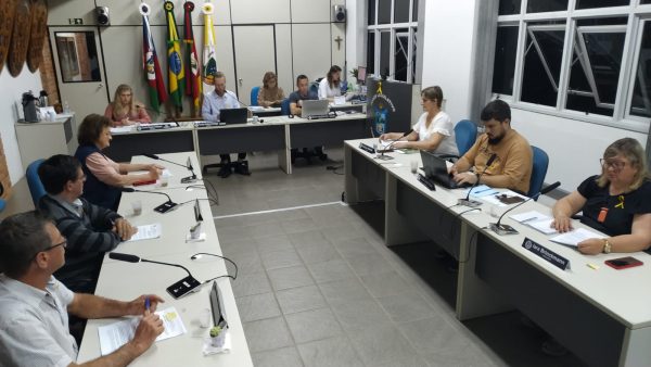 Vereadores de Poço das Antas autorizam auxílio alimentação a profissionais
