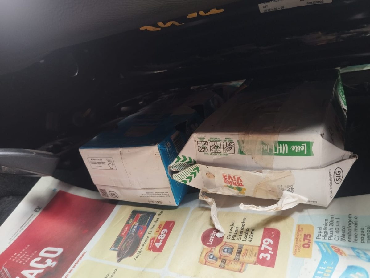 PRF resgata aves silvestres em extinção na BR-386