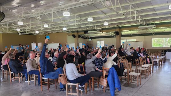 Languiru apresenta superávit de R$ 55,4 milhões no primeiro semestre