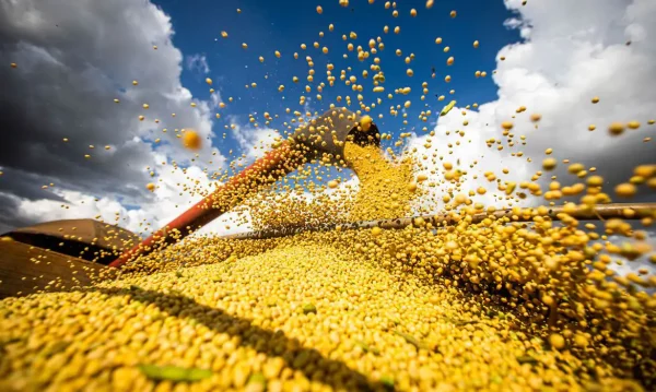 Brasil atinge novo recorde com 350 milhões de toneladas de grãos