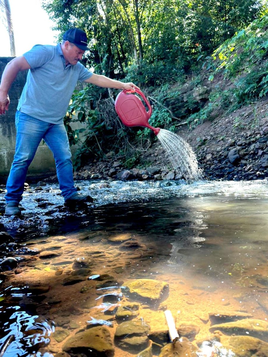 Westfália reforça combate ao borrachudo com segunda etapa de aplicação do BTI