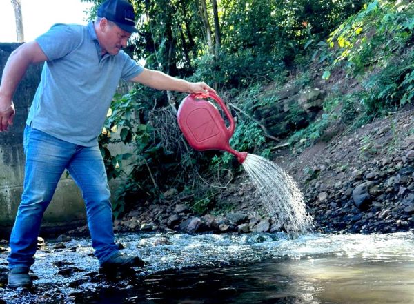 Westfália reforça combate ao borrachudo com segunda etapa de aplicação do BTI