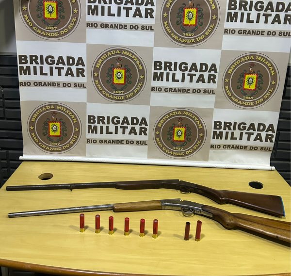 Homem é preso com armas e munições no interior de Paverama