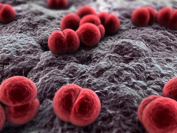 Teutônia registra dois casos suspeitos de Meningite