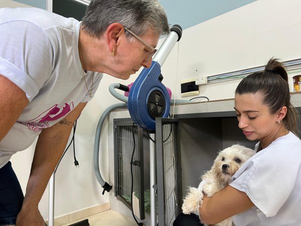 Programa de Castração de Cães e Gatos segue com inscrições abertas