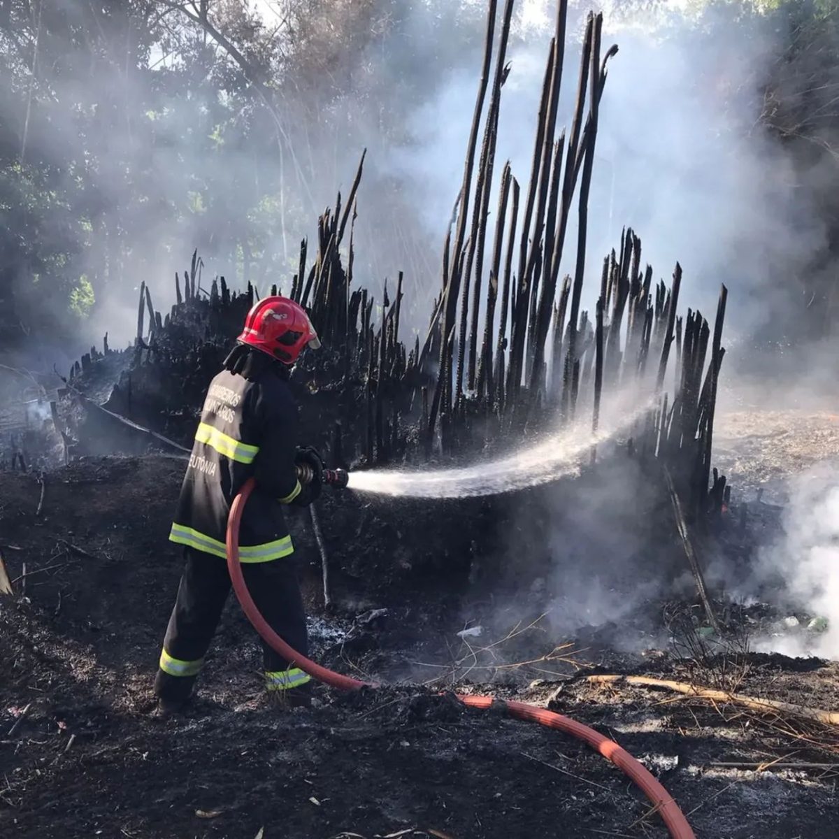 Incêndio em taquareira mobiliza Bombeiros em Teutônia