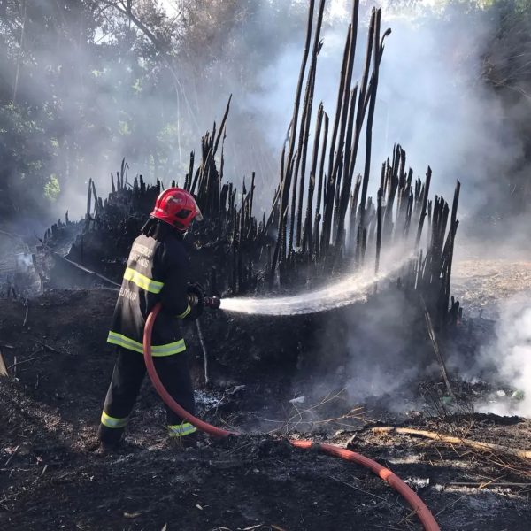Incêndio em taquareira mobiliza Bombeiros em Teutônia