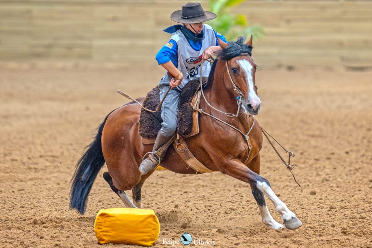Ginete da região conquista freio de bronze em disputa internacional