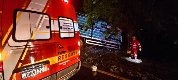 Saída de pista deixa homem ferido na ERS-453 em Westfália