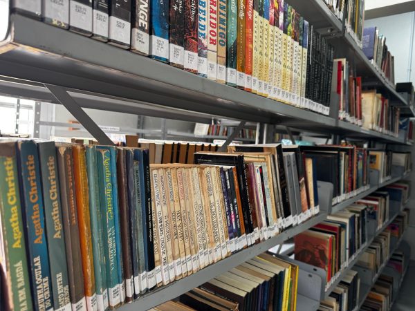 Biblioteca Arno Sommer realiza programação para celebrar os 33 anos