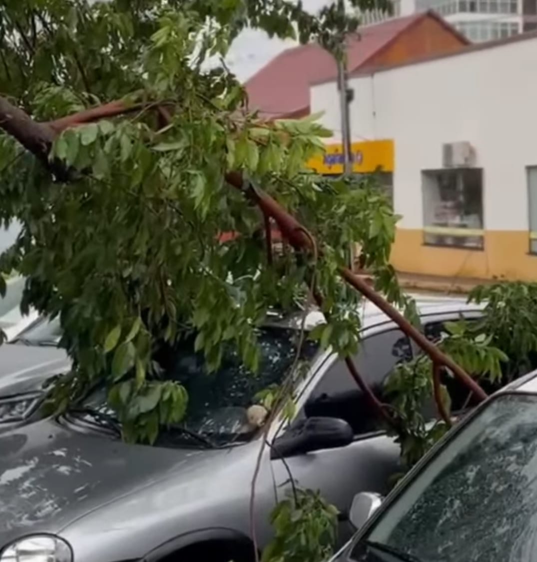 Temporal deixa cerca de 12 mil associados da Certel sem energia
