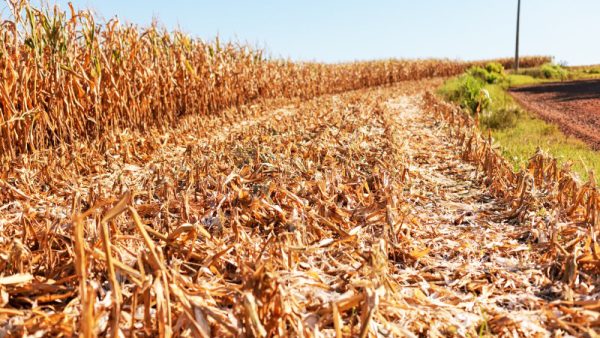 Meteorologia alerta para chuvas abaixo da média