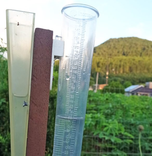 Chuva na microrregião foi menor em 2025, em comparação com 2024