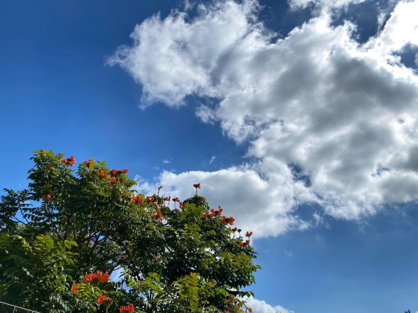 Semana começa com sol e termina com calor e chuva
