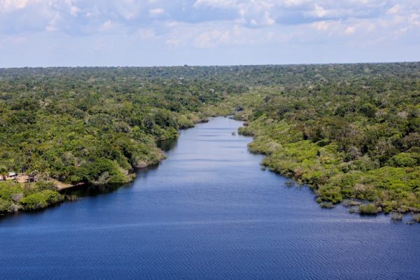 Alertas de desmatamento caem 35% na Amazônia e 6% no Cerrado