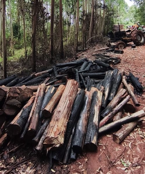 Incêndio consome lenha e um trator no Canta Galo