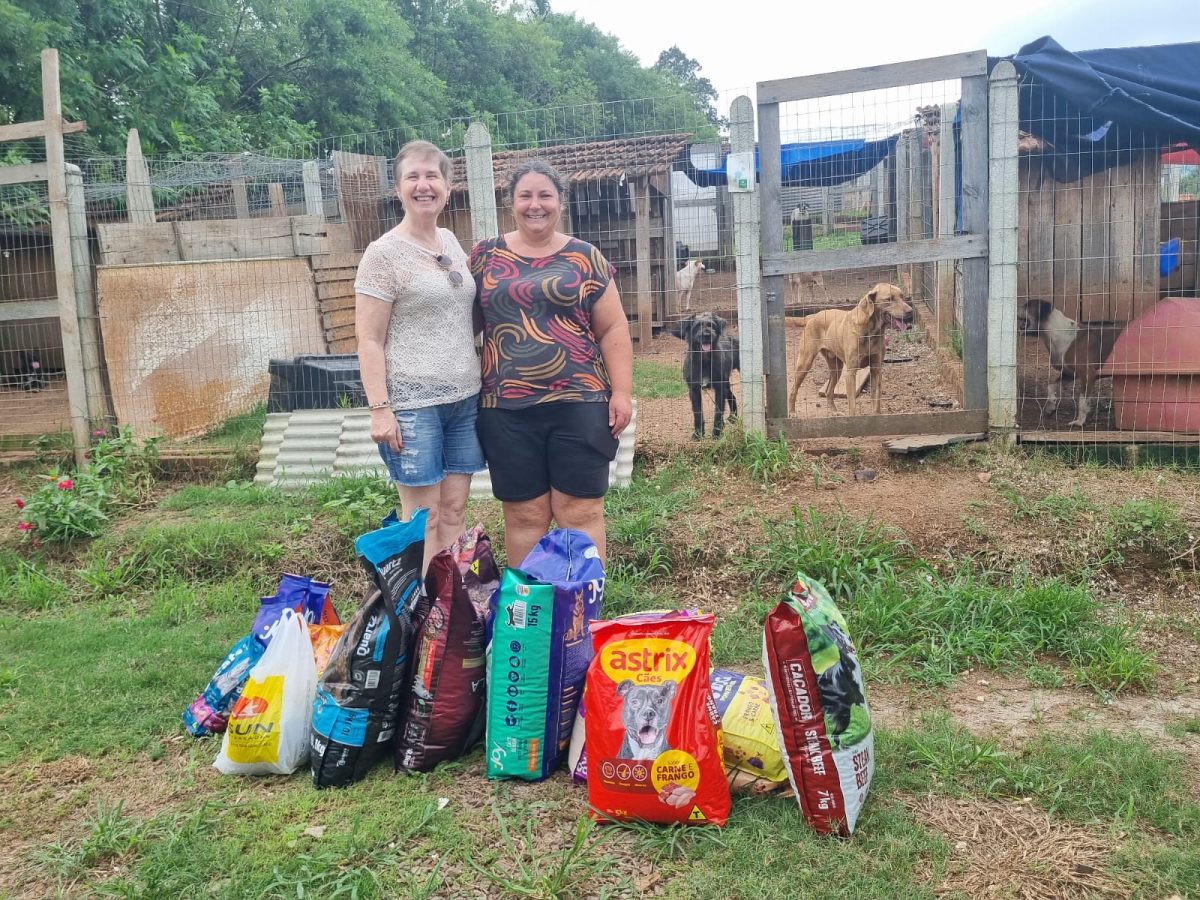 Aniversário coletivo beneficia abrigo de animais e lares temporários