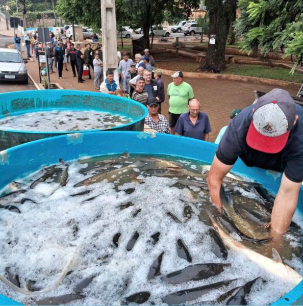 Feira do Peixe Vivo será realizada em dois locais nesta semana