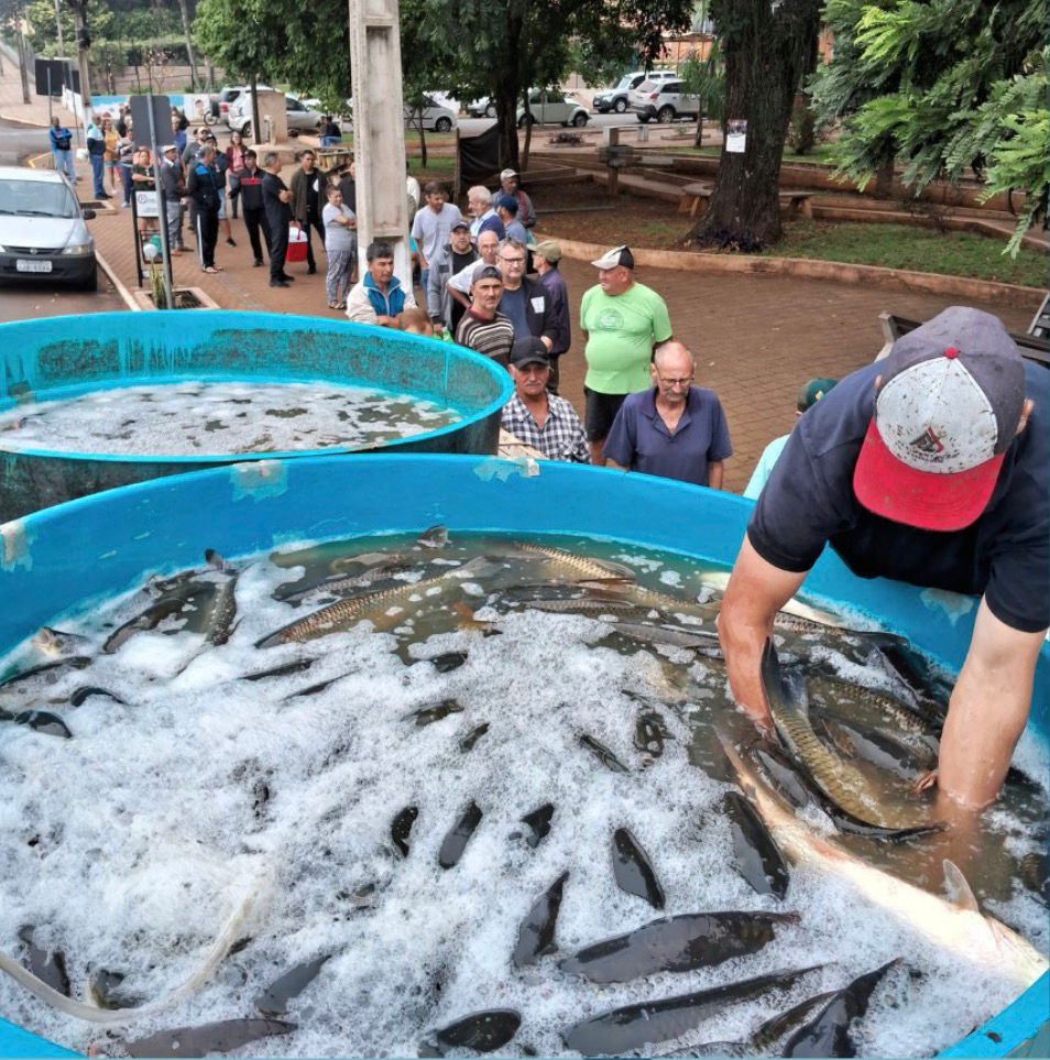 Feira do Peixe Vivo será realizada em dois locais nesta semana