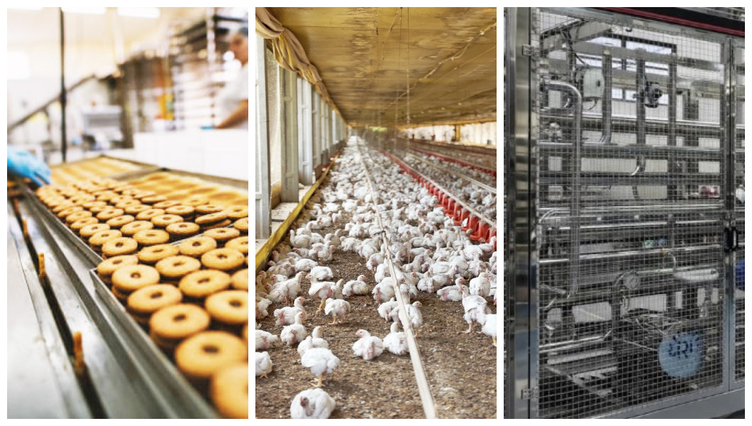 Fotos: Arquivo/Informativo Regional e Divulgação