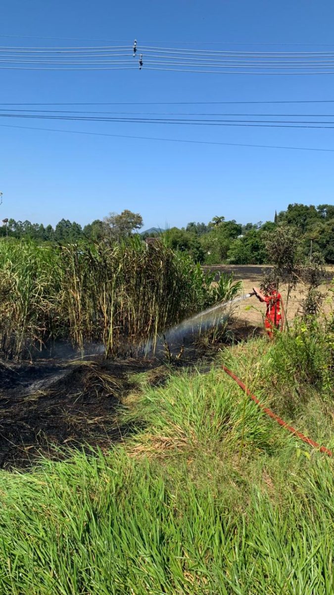 Bombeiros Voluntários combatem incêndio florestal junto à ERS-128