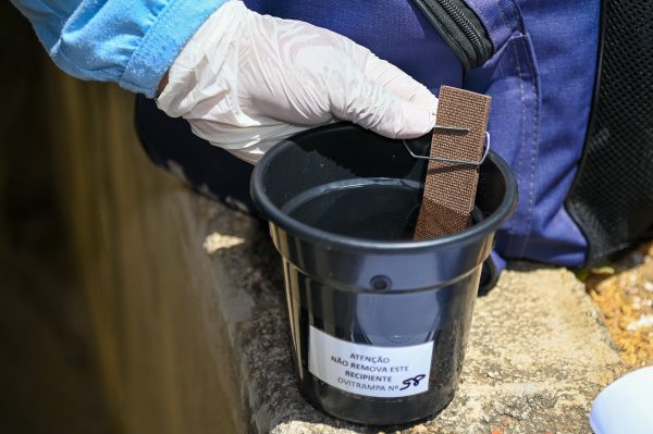 Teutônia registra 63% de positividade em ovitrampas no mês de março