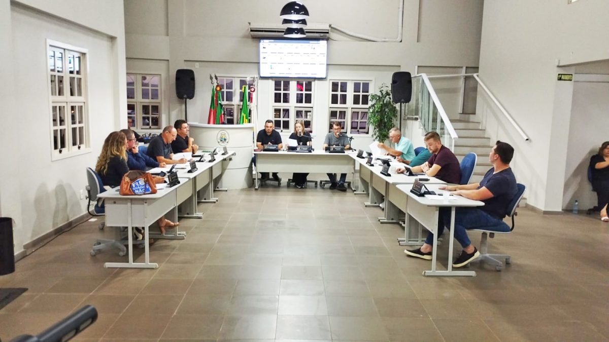 Próxima sessão do Legislativo será no dia 8 de abril. Foto: Volnei da Silva/VF Produtora/divulgação